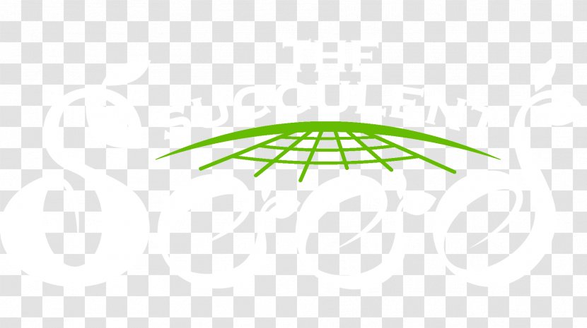 Circle Logo Angle Font - Plant - Eucalyptus Transparent PNG