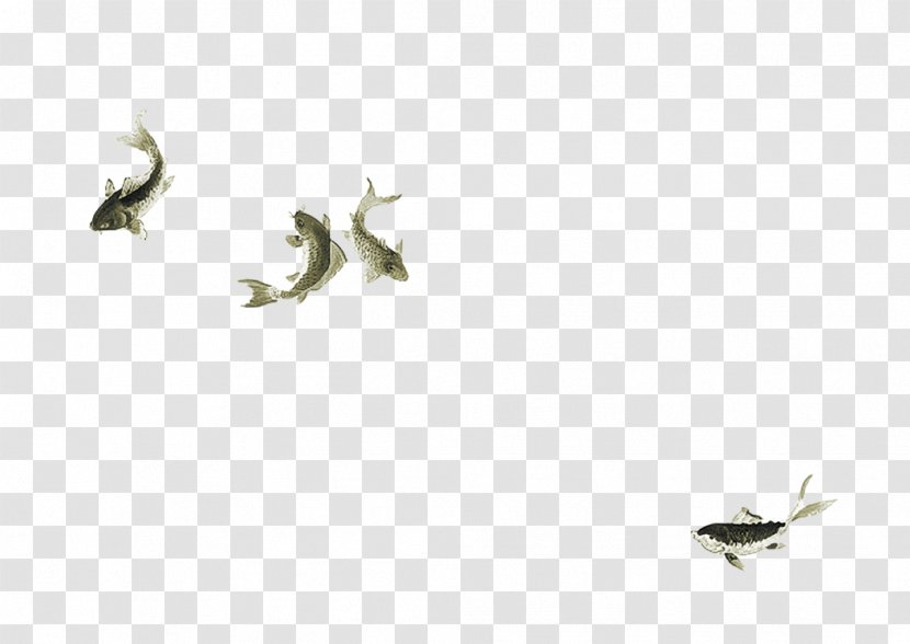 Chinoiserie Common Carp - White - Swing Lot Of Fish Transparent PNG