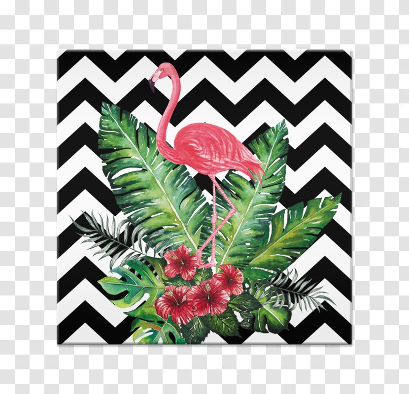 Paper Chevron Corporation Picture Frames Bird Greater Flamingo - Flamingos - Black Transparent PNG