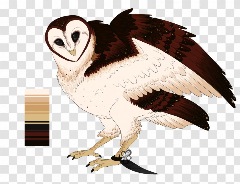 Bird Of Prey Owl Beak Animal - Barn Transparent PNG