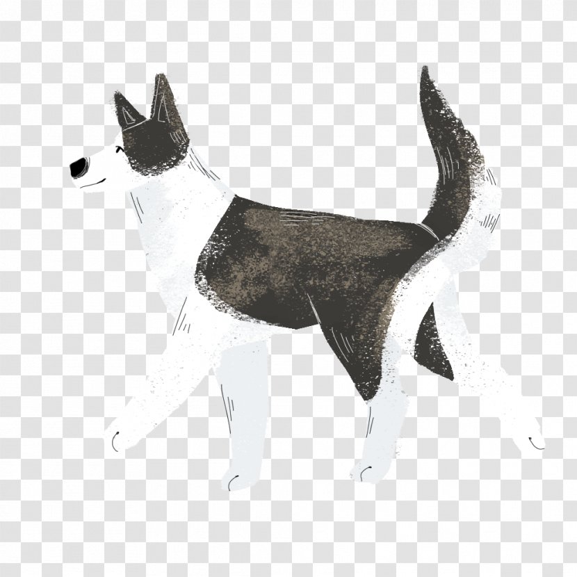 Dog Breed Fur Tail - Group Transparent PNG