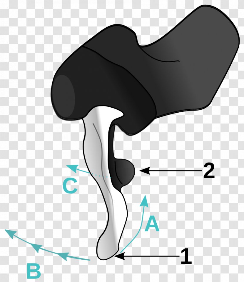 Shimano Total Integration Racing Bicycle Shifter - Flower Transparent PNG