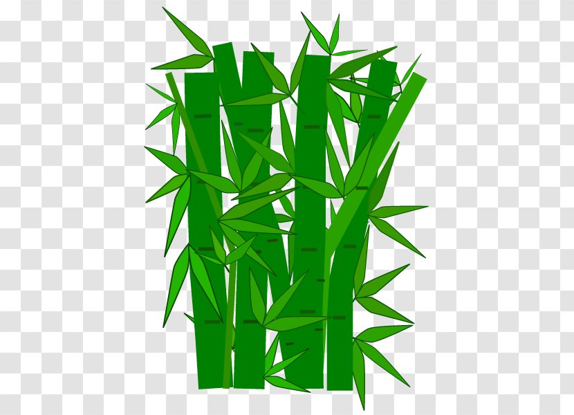 Bamboo Giant Panda Royalty-free Clip Art - Drawing - Green Transparent PNG