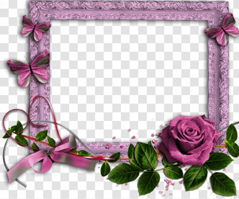 Rose Picture Frames Desktop Wallpaper Clip Art - Animation Transparent PNG