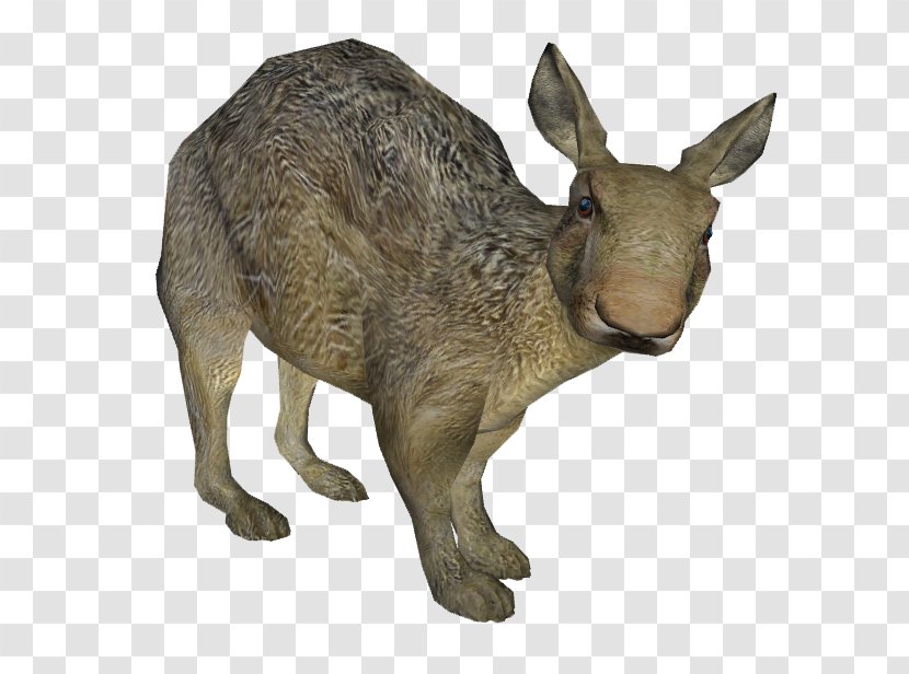 Sculptor Kangaroo Elephantidae Artist Sculpture - Marsupial - Glyptodont Transparent PNG