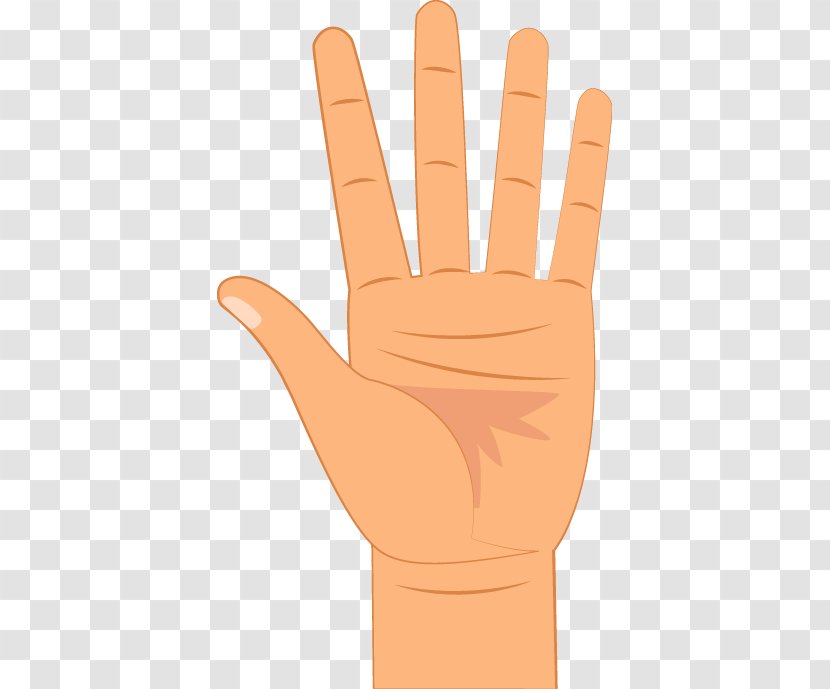 Thumb Digit Hand Little Finger - Granos En Los Dedos De La Mano Transparent PNG