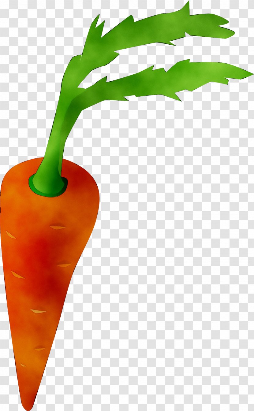 Chili Pepper Cayenne Peppers Paprika Food - Leaf - Plant Stem Transparent PNG