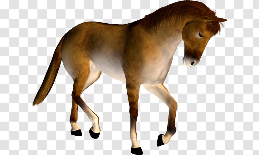 Mustang Stallion Mare Pony Colt - Rein Transparent PNG