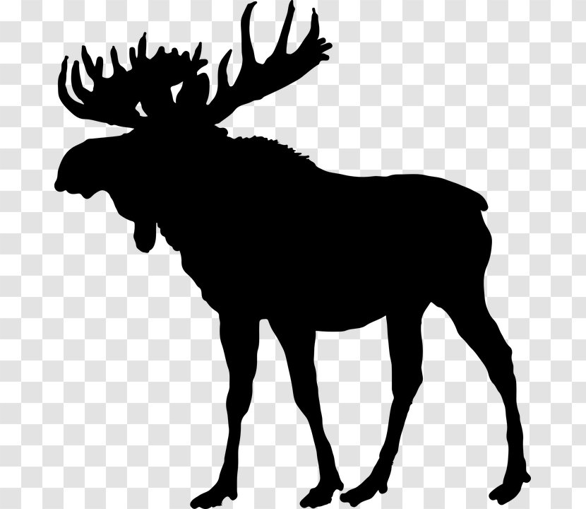 Moose Deer Silhouette - Terrestrial Animal - Tier Transparent PNG