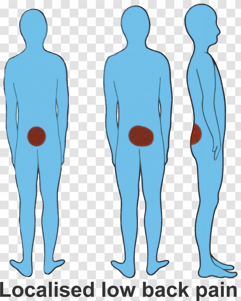 Back Pain Knee Sciatica Symptom Vertebral Column - Flower Transparent PNG