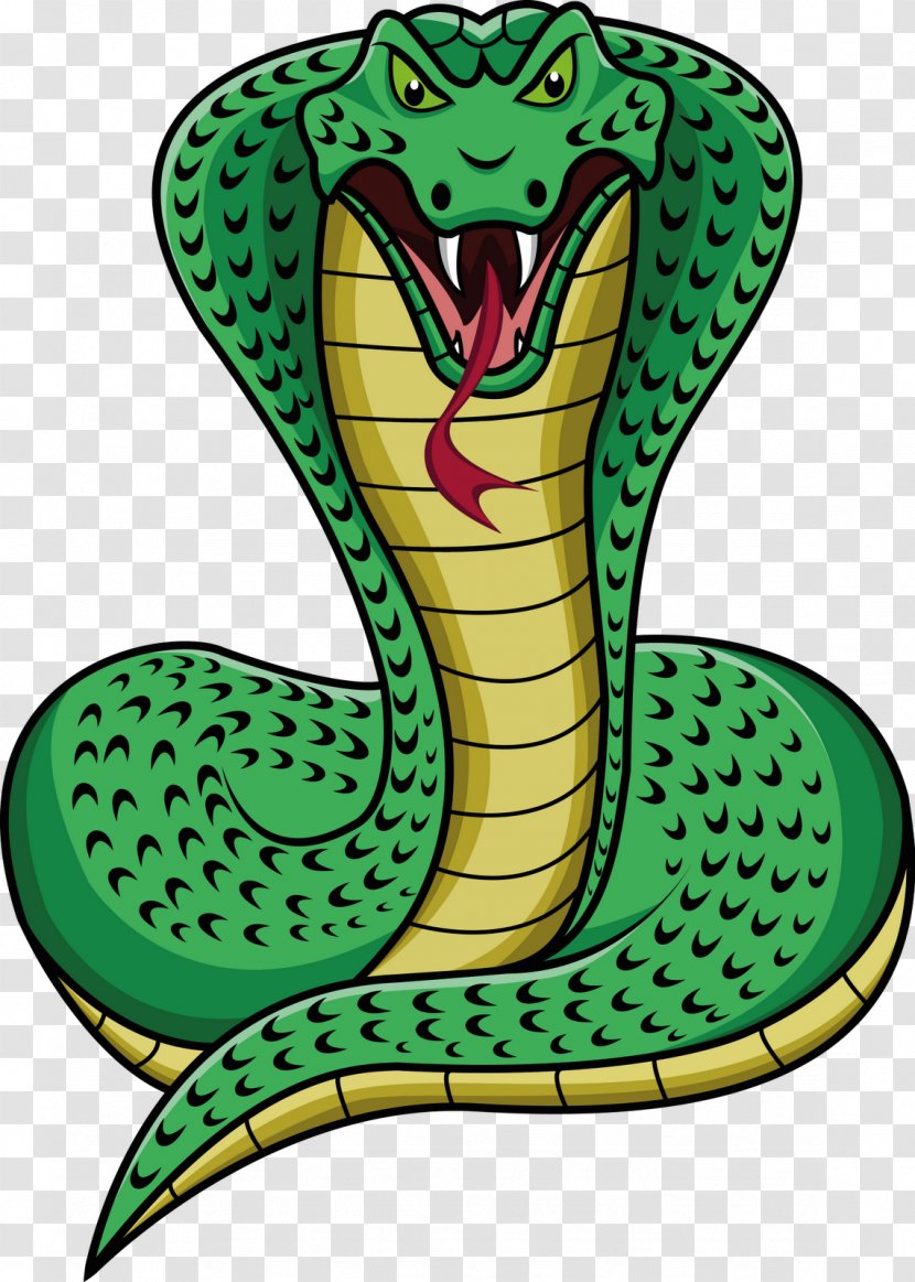 Snake Scale Cartoon Clip Art - Lizard Transparent PNG