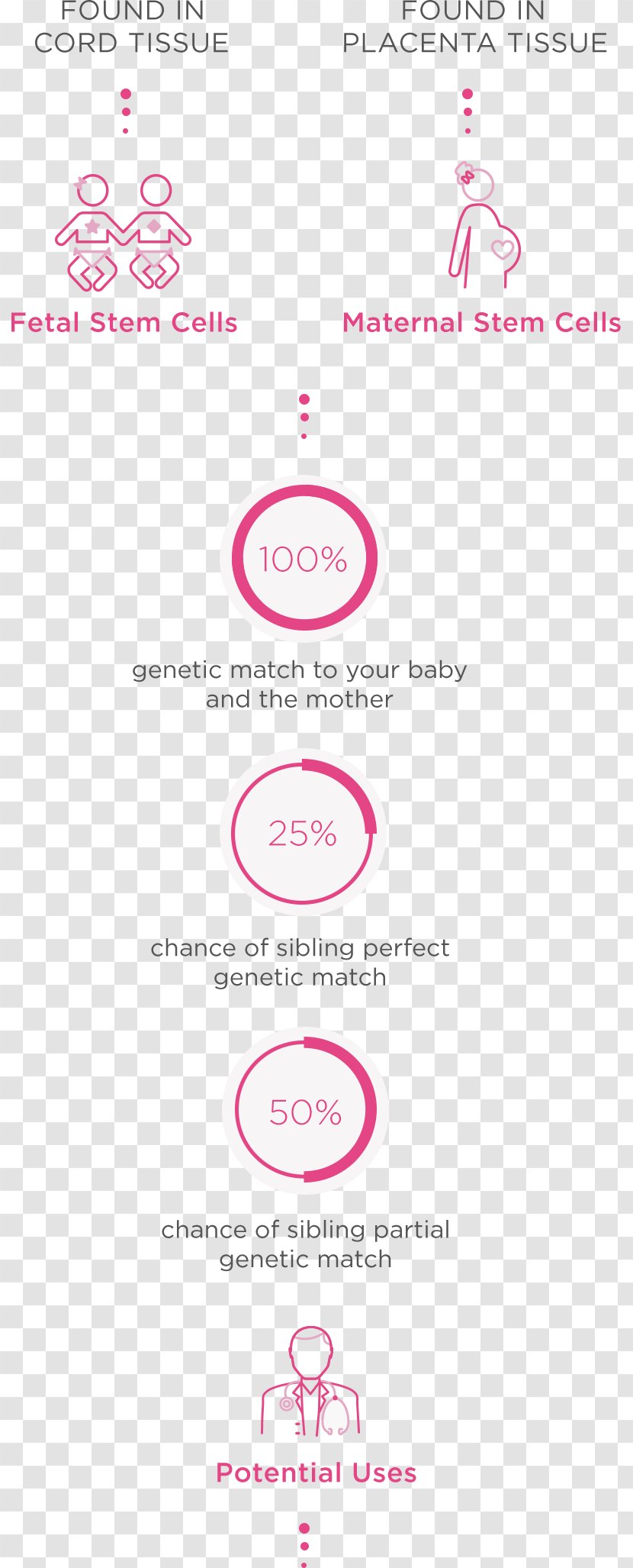 Cord Blood Bank Placenta Stem Cell Transparent PNG