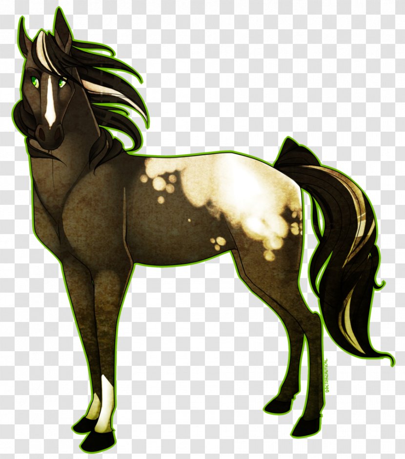 Foal Mane Mare Mustang Stallion - Horse Tack - Warthogs Transparent PNG