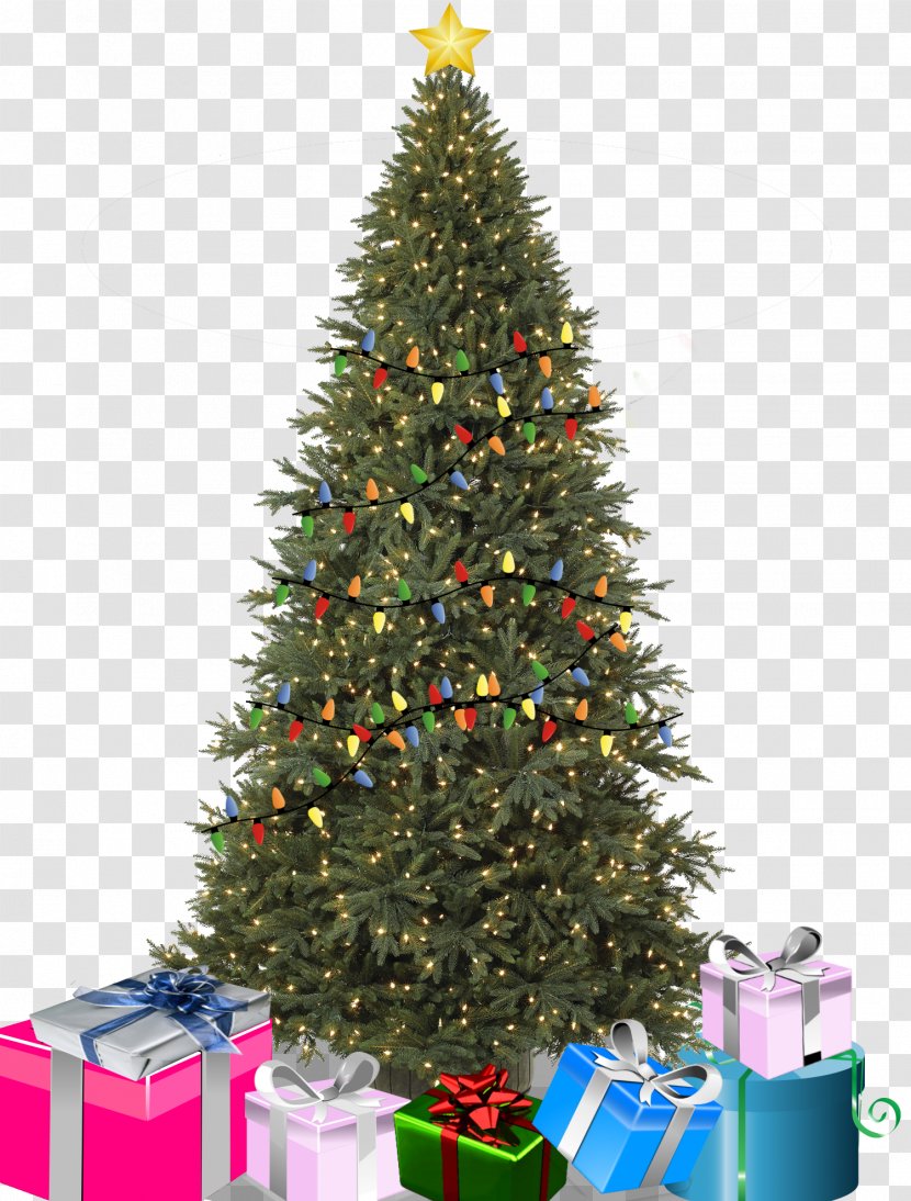 Christmas Tree Birthday Ornament Balsam Hill - Anniversary - Lighting Transparent PNG