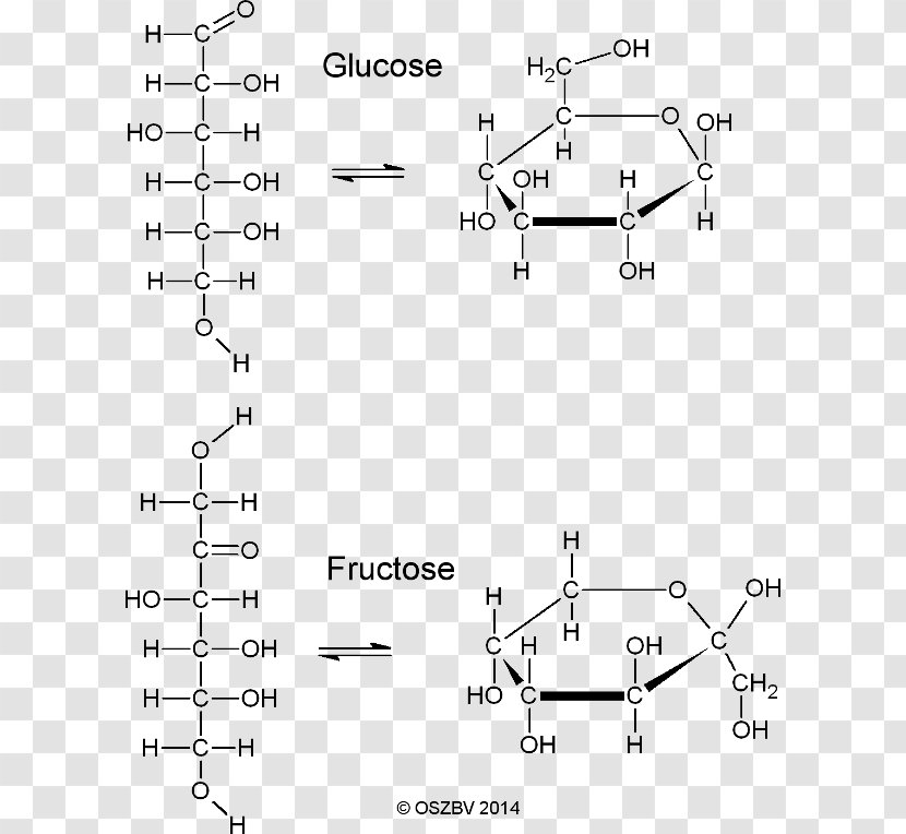 Fructose /m/02csf Drawing Glucose Car - Flower - Watercolor Transparent PNG