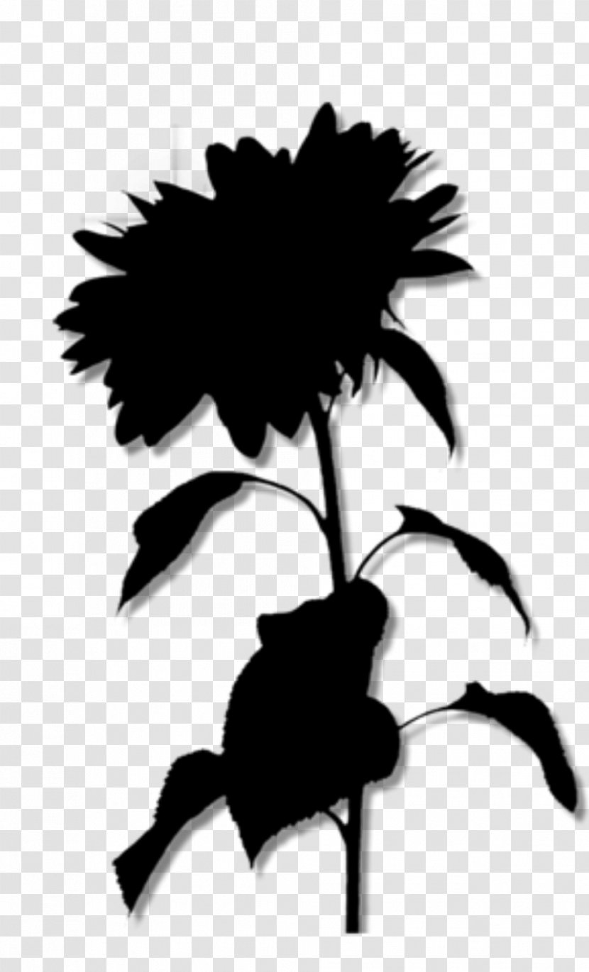 Clip Art Image Flower Drawing - Silhouette - Monochrome Transparent PNG