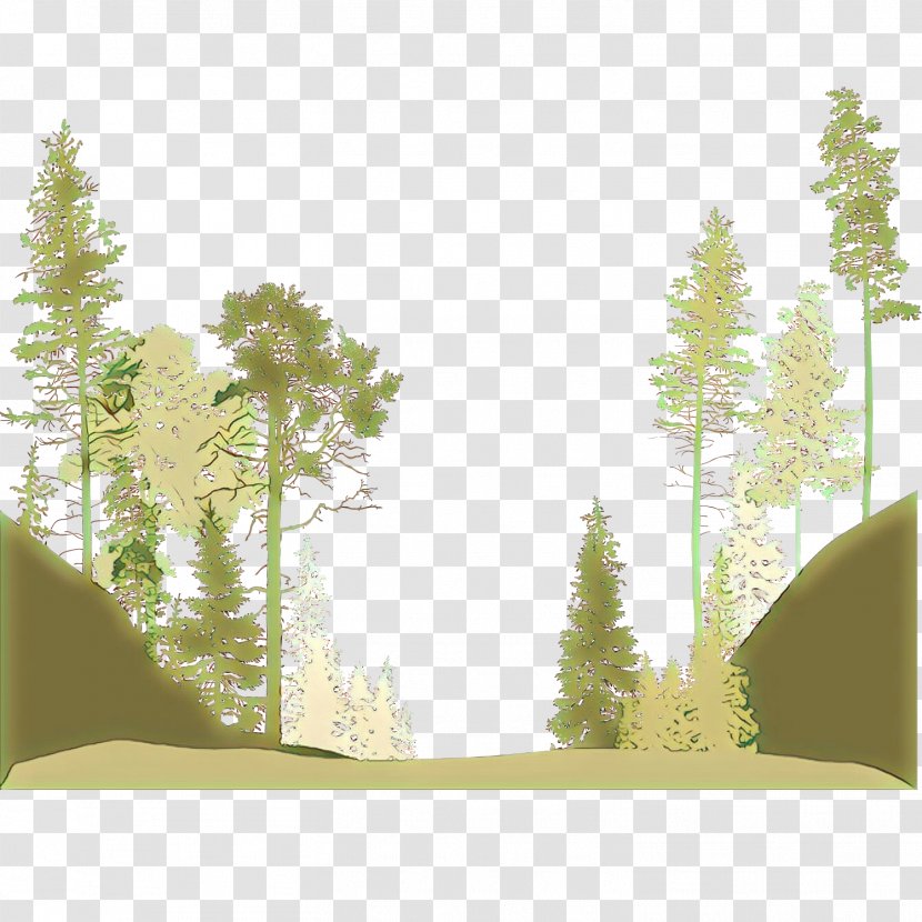 Tree Nature Green Natural Environment Forest - Woody Plant - Landscape Transparent PNG