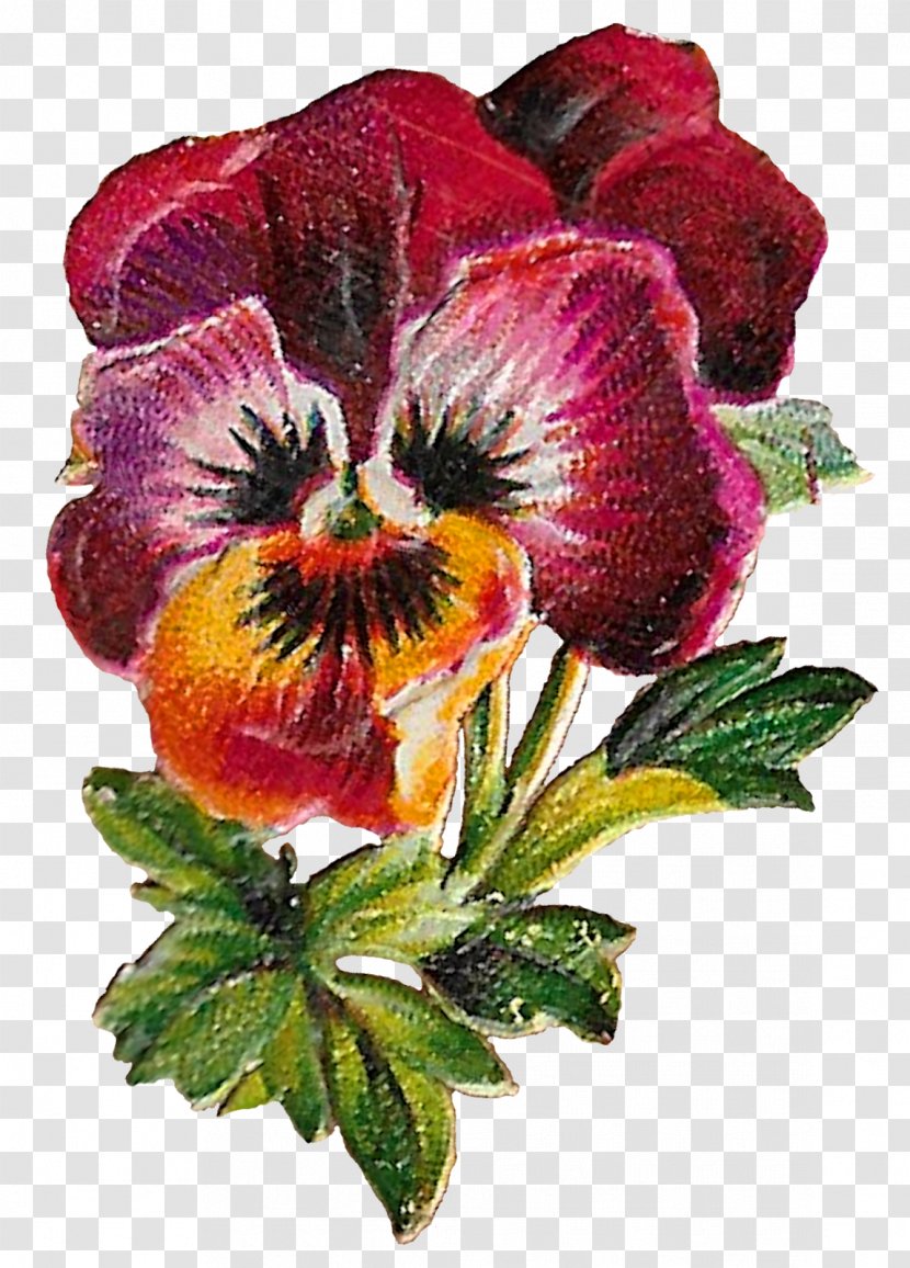 Pansy Flower Clip Art Image - Purple Transparent PNG
