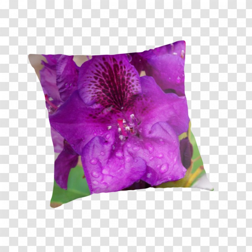 Throw Pillows Cushion - Pillow Transparent PNG