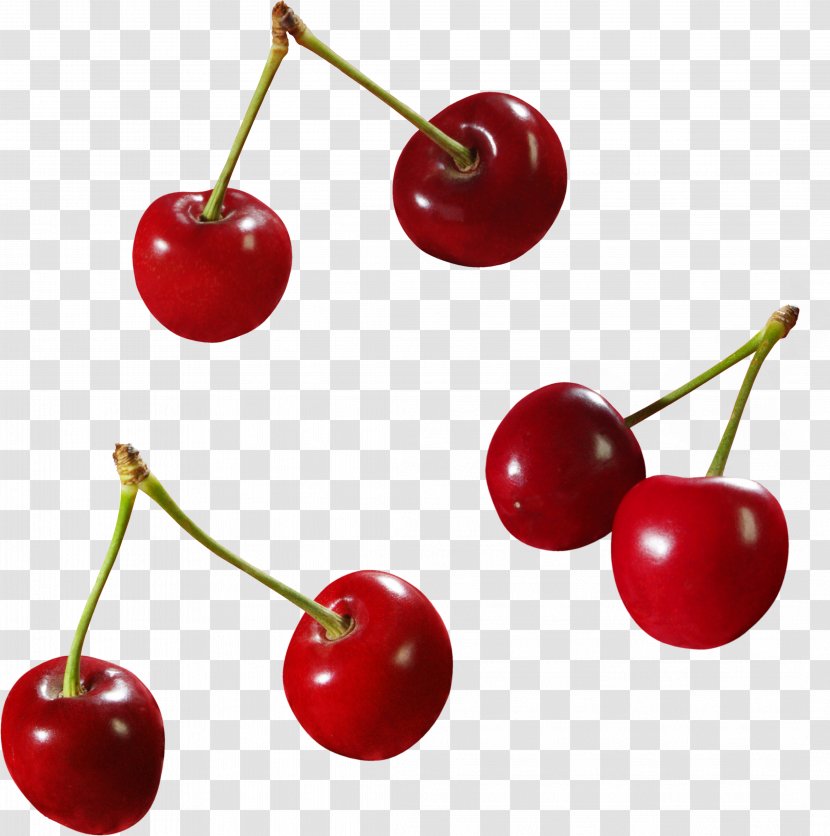 Sweet Cherry Cerasus Malpighia Glabra Transparent PNG