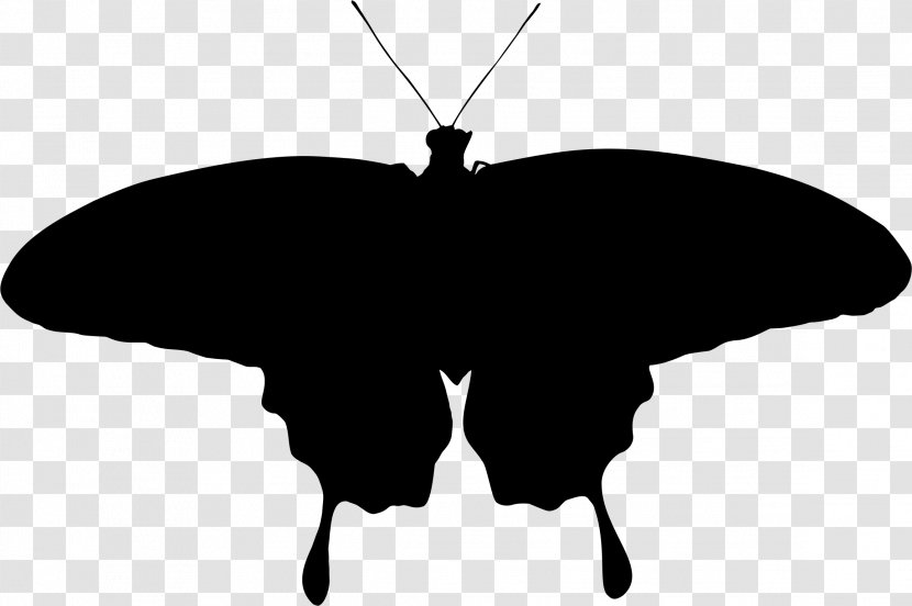 Brush-footed Butterflies Butterfly Moth Silhouette Clip Art - Invertebrate Transparent PNG