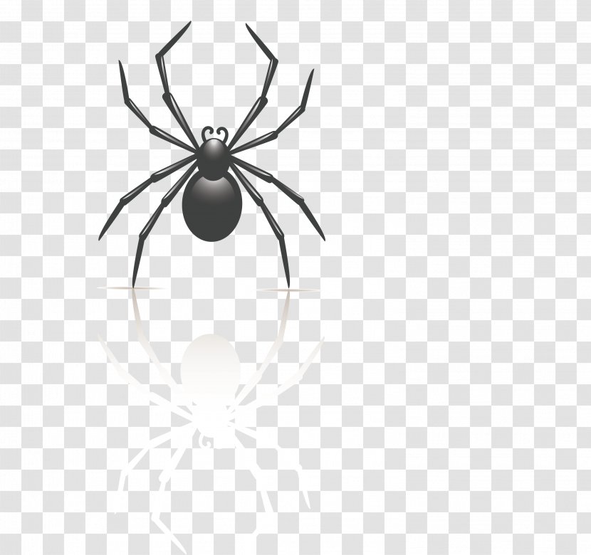 Insect Spider Black And White - Membrane Winged - Cartoon Transparent PNG