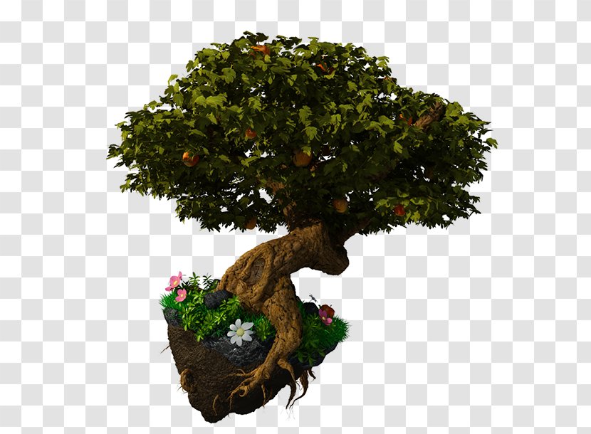 Tree Trunk Fantasy Sport Football - Floating Island Transparent PNG