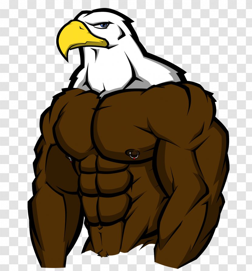 Pit Bull Drawing Bird Muscle - Beak - Beard Transparent PNG