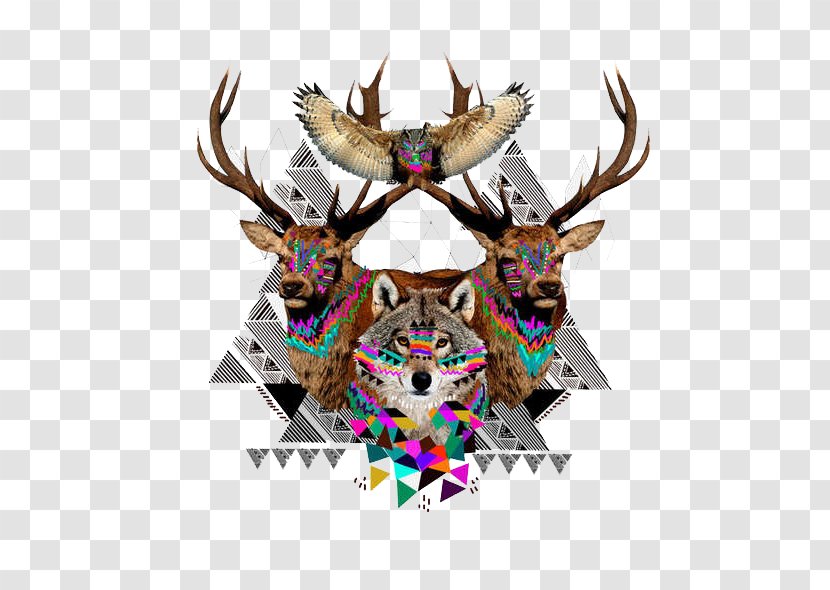 Wall Decal Mural T-shirt Wallpaper - Horn - Triangle Fox Antelope Illustration Transparent PNG