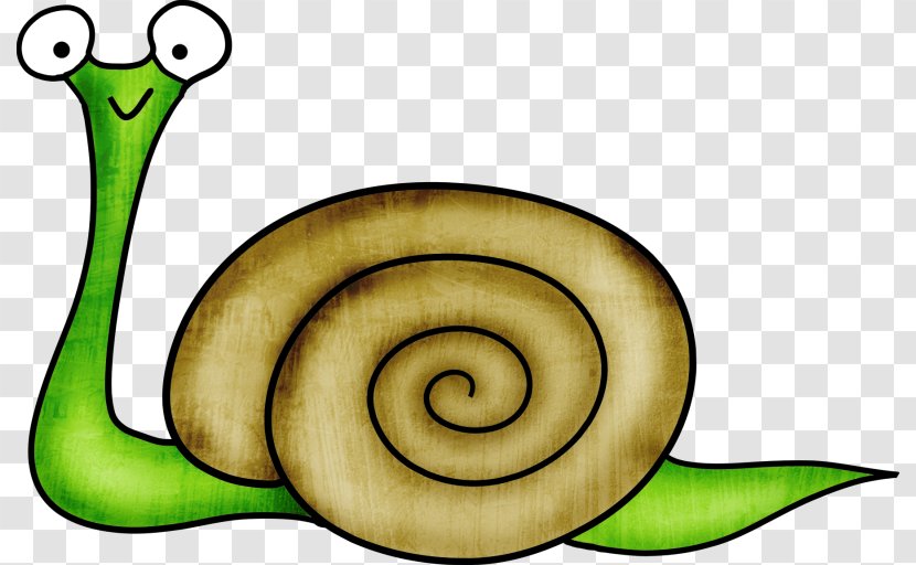 Drawing Snail Child - Organism Transparent PNG