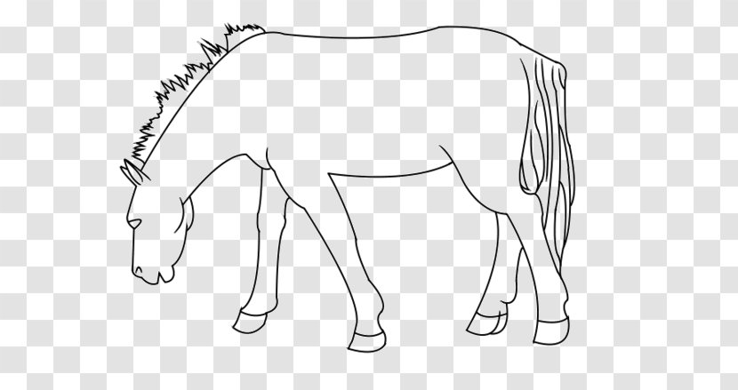 Mule Foal Bridle Halter Line Art - Flower - A Horse Template Transparent PNG