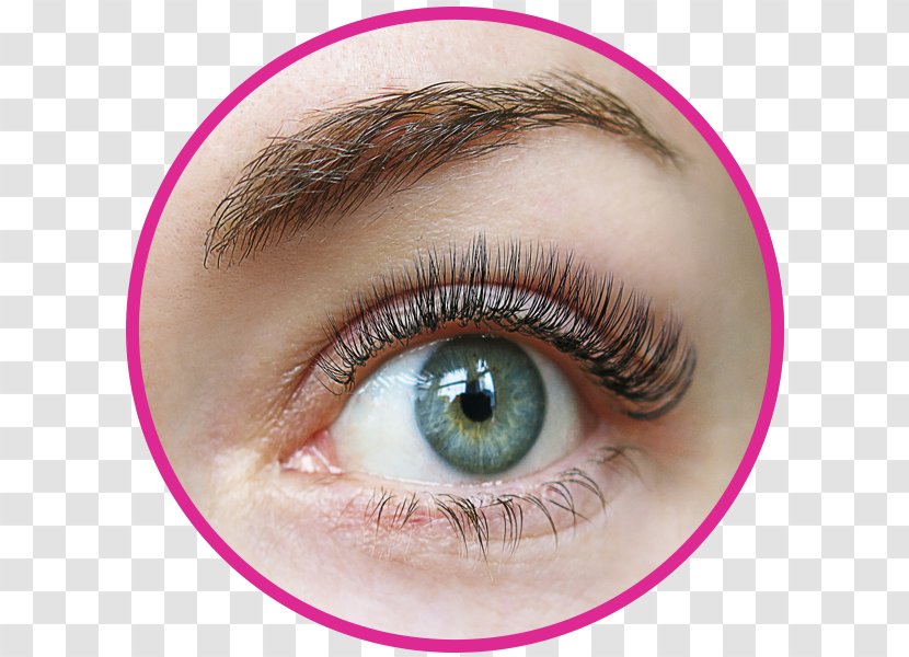 Eyelash Extensions Eye Shadow Artificial Hair Integrations Beauty Parlour - Cosmetology - Bottom Lash Transparent PNG