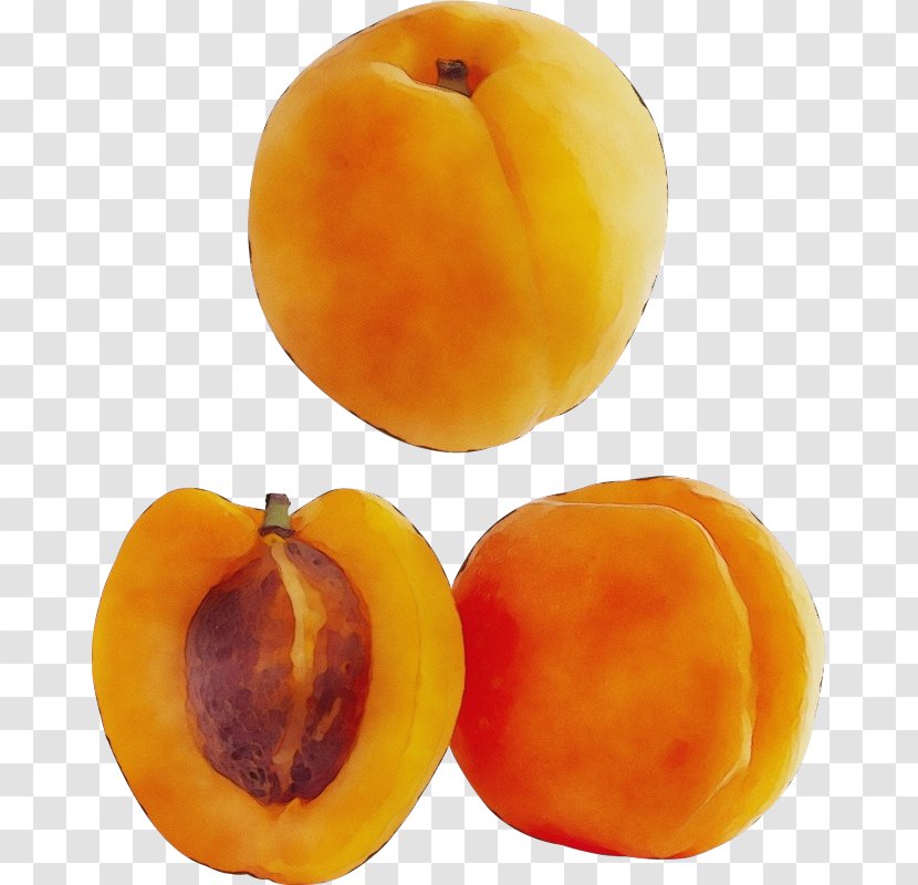 Watercolor Plant - Nectarine - Superfood Common Persimmon Transparent PNG
