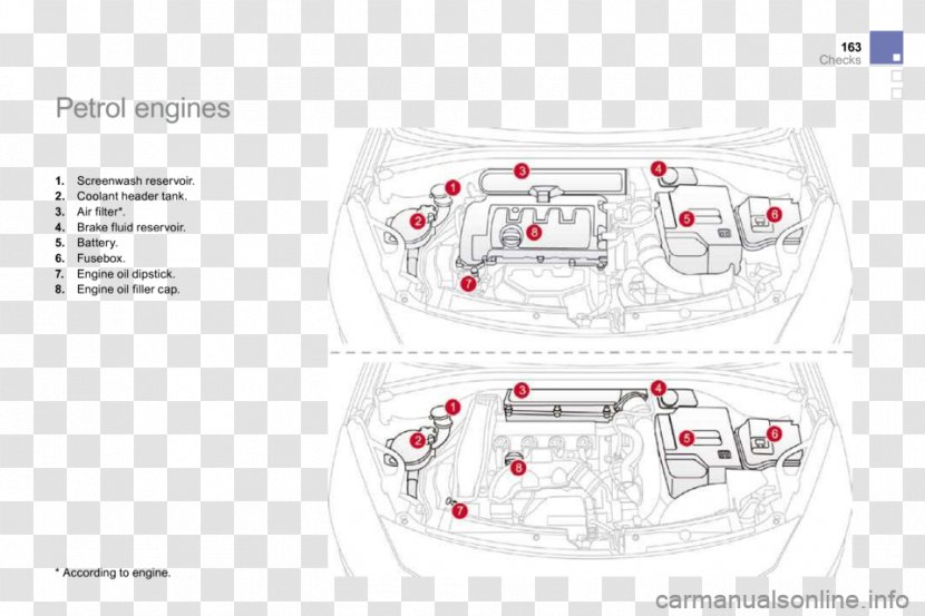 Product Design Brand Pattern Line - Special Olympics Area M Transparent PNG