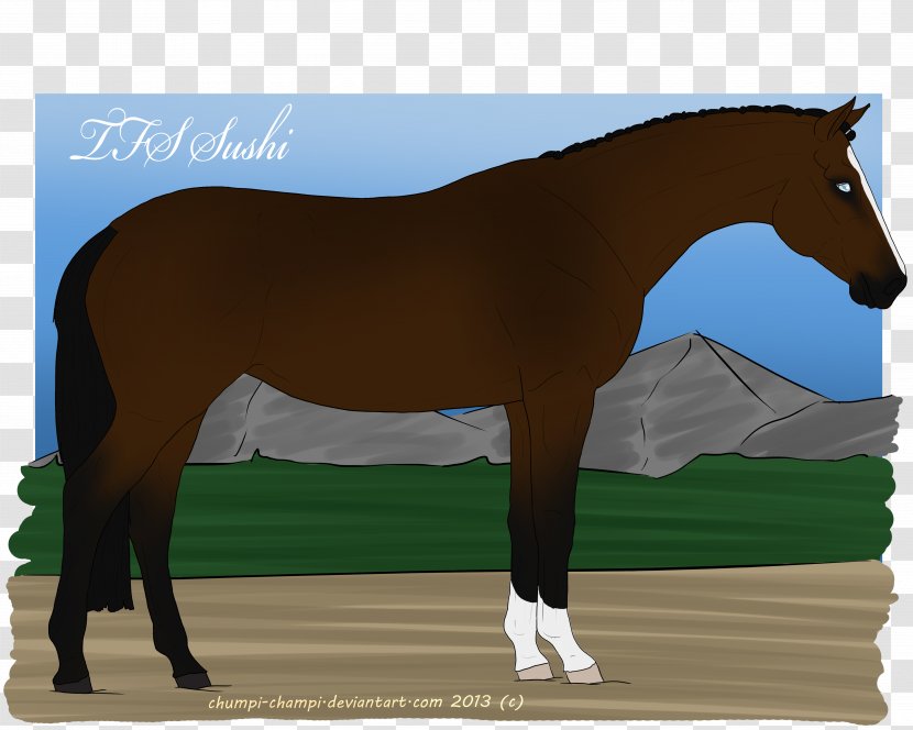 Mane Foal Stallion Rein Mustang - Pony Transparent PNG