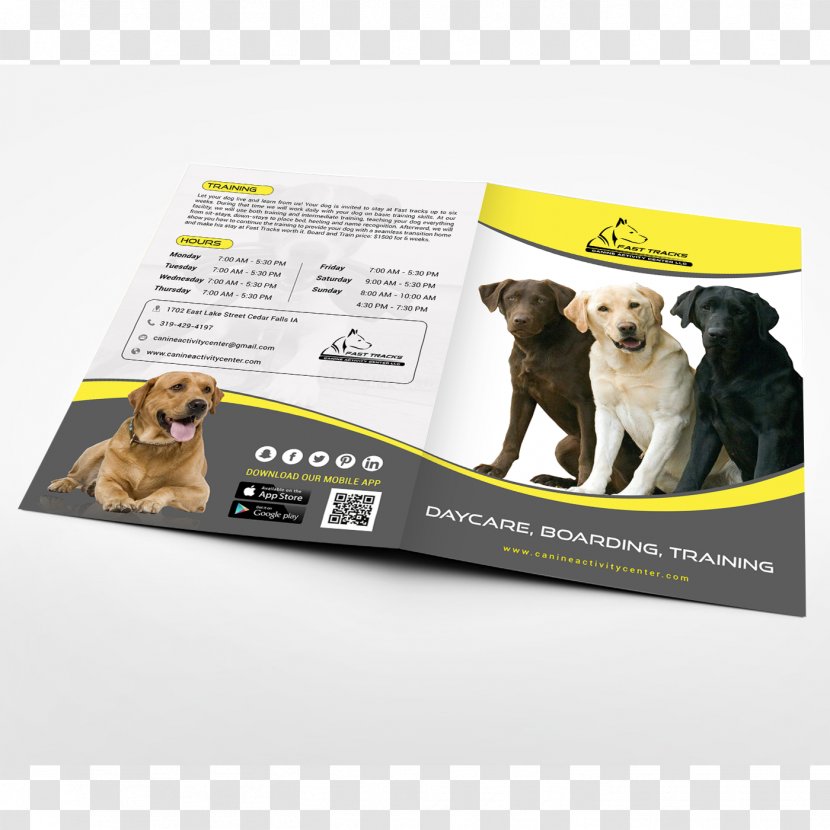 Puppy Advertising Brand Snout - Dog Like Mammal Transparent PNG