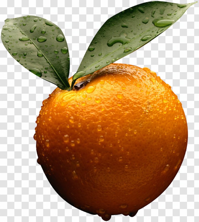 Clementine Tangerine Citrus × Sinensis Volkamer Lemon Tangelo - Natural Foods - Orange Image, Free Download Transparent PNG