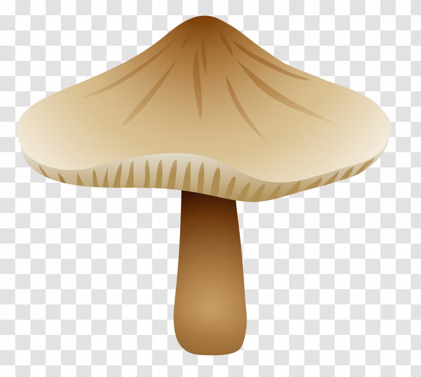 Mushroom Fungus Drawing Botanical Illustration - Inedible Mushrooms Transparent PNG