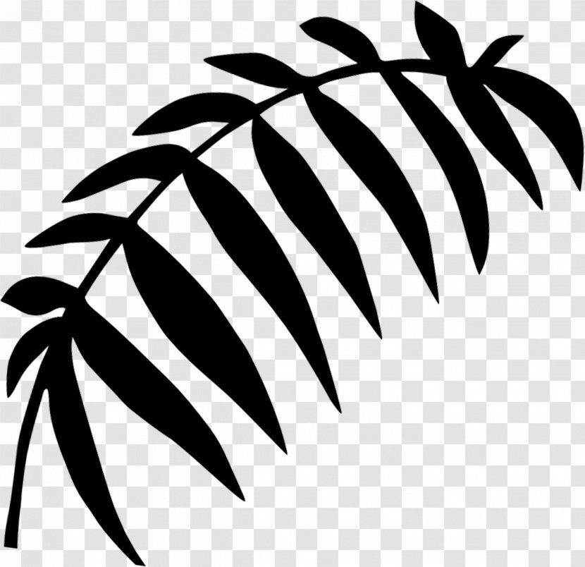 Palm Trees Black & White - Branch - M Clip Art Leaf Plant Stem Transparent PNG