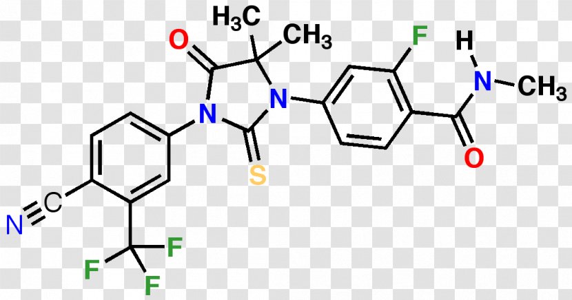 Enzalutamide Androgen Receptor Prostate Cancer Antiandrogen - Watercolor - Cartoon Transparent PNG