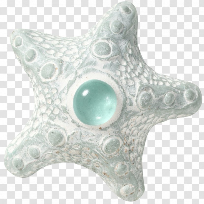 Turquoise Jewellery Starfish Transparent PNG