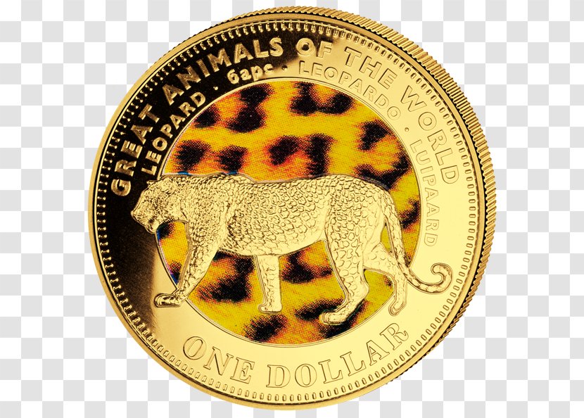 Cat Gold Coin Mammal Transparent PNG