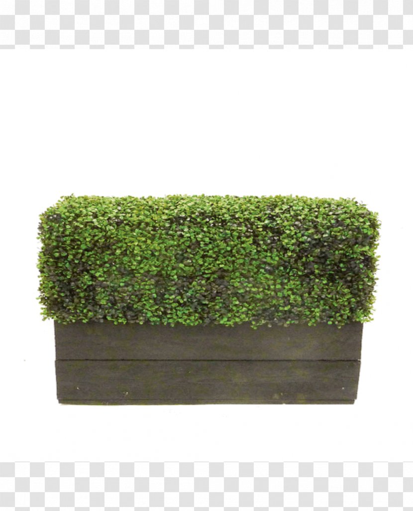 Hedge Table Box Topiary Furniture - Ivy Transparent PNG