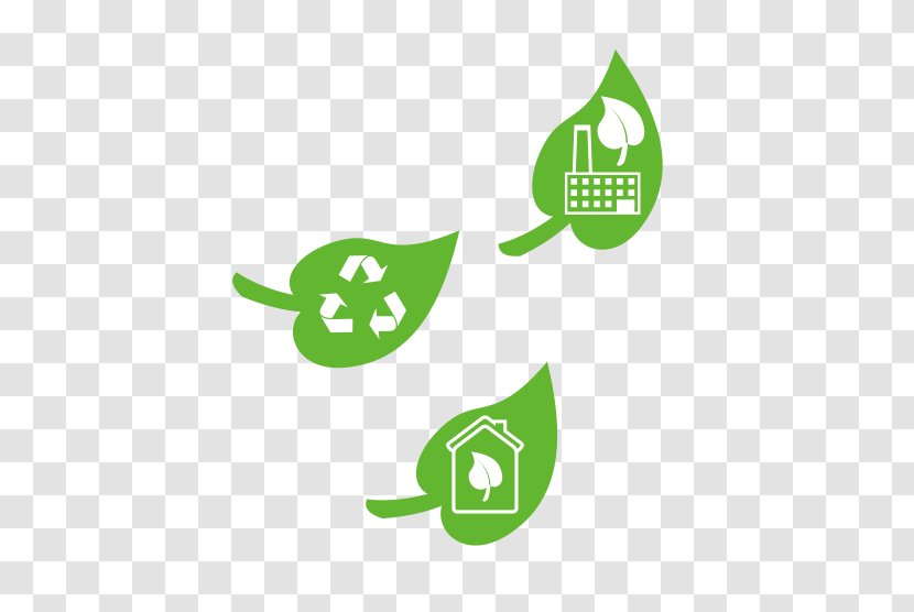 Euclidean Vector Ecology Logo Line Icon - Leaf - Green Recyclable Transparent PNG