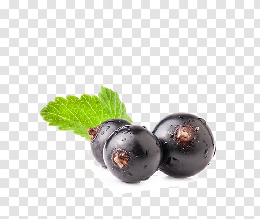 Blueberry Superfood Prune - Fruit Transparent PNG