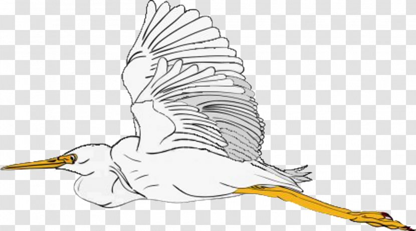 Beak Cygnini Goose Illustration Clip Art Transparent PNG