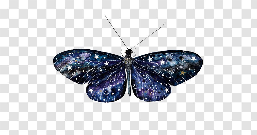Artist Painting Drawing Illustration - Printmaking - Sky Star Animal Butterfly Transparent PNG