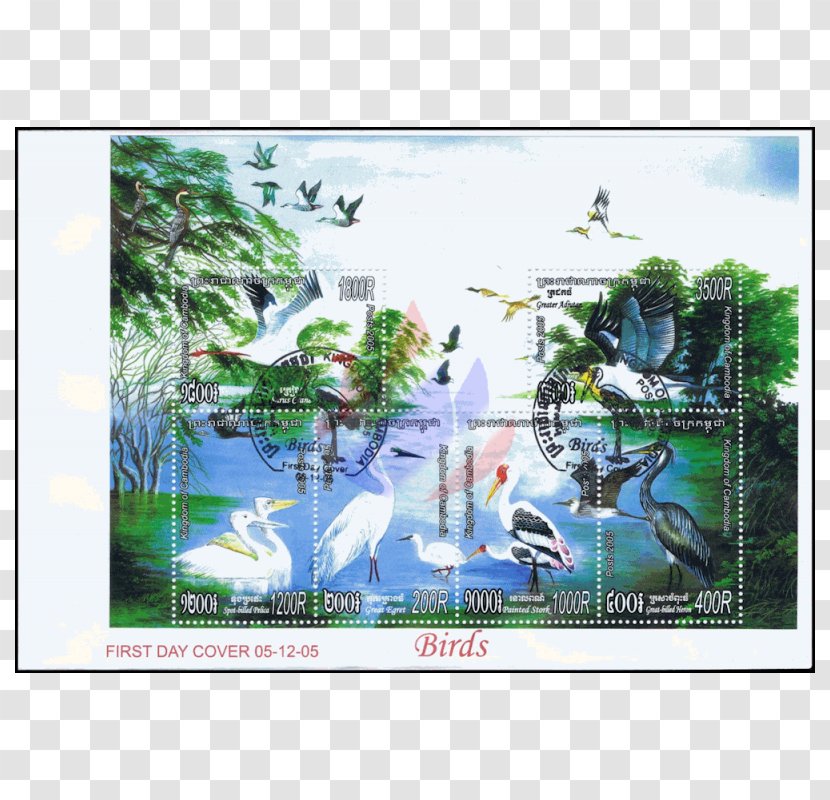 Ecosystem Fauna Advertising - Tree - Waterbirds Transparent PNG