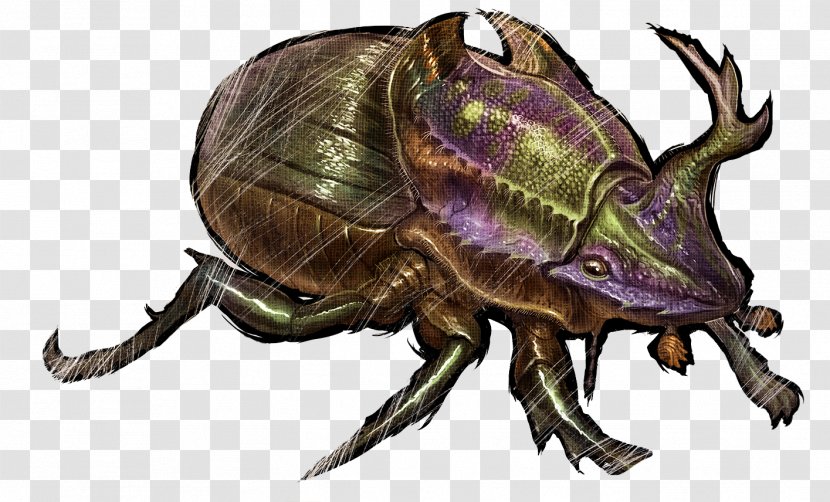 ARK: Survival Evolved Dung Beetle Feces Xbox One - Pollinator - Ark Shell Transparent PNG