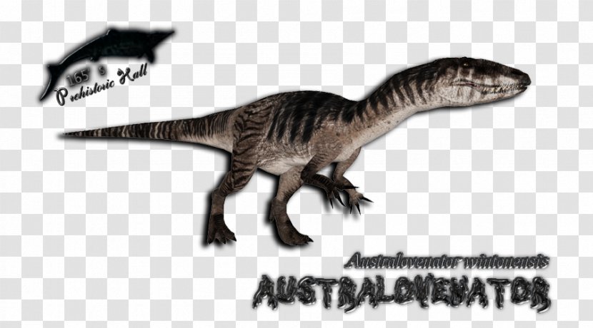 Velociraptor Tyrannosaurus Fauna - Beak Transparent PNG